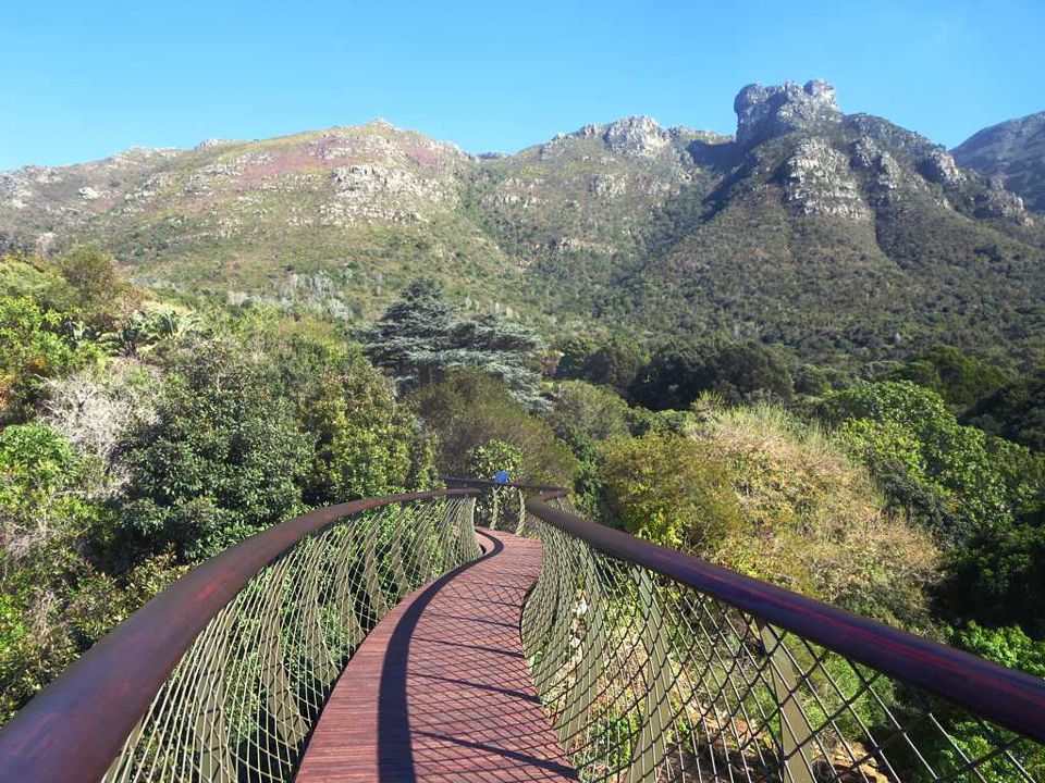 Kirstenbosch Botanical Garden