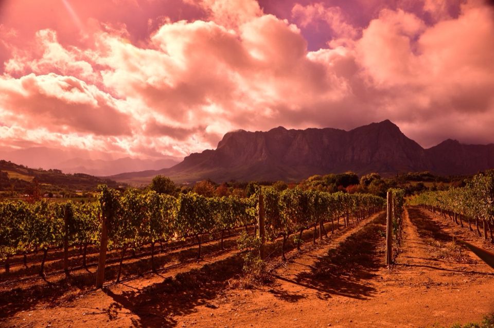 Franschhoek Winelands